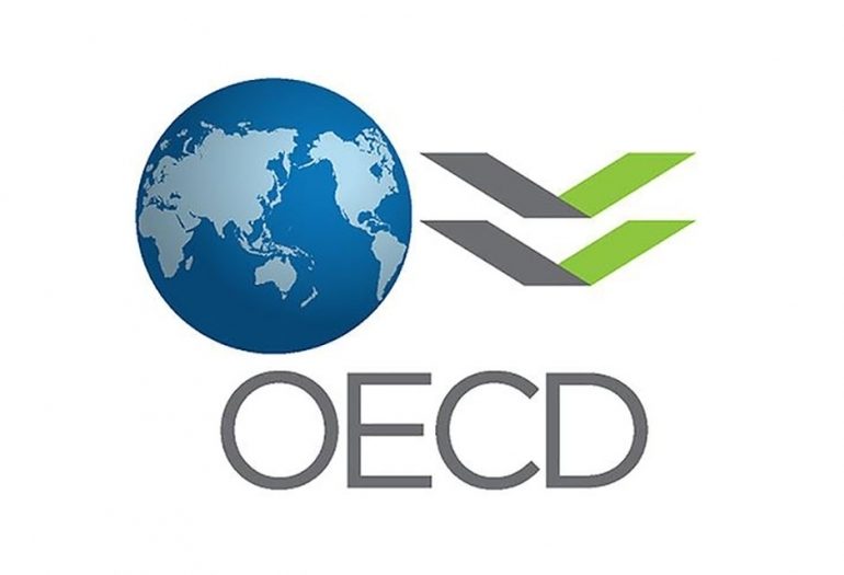 OECD Names Georgia as a Model Country for Supporting Small and Medium Enterprises