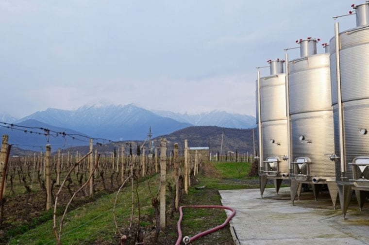 Georgian wine export grows