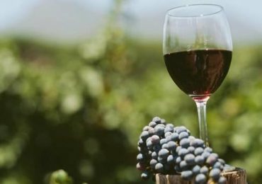 Georgian Wine Exports to the U.S. Continue to Climb During Lockdown – PRNewswire