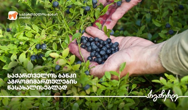 საქართველოს ბანკი აგროსექტორის მხარდაჭერას განაგრძობს