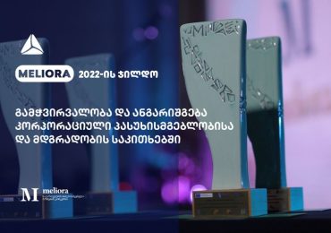 თიბისის Meliora 2022-ის ჯილდო გამჭვირვალობა და ანგარიშგება კორპორაციული პასუხისმგებლობისა და მდგრადობის საკითხებში გადაეცა