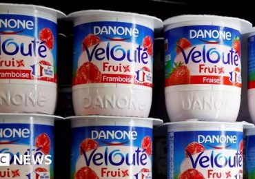 მოსკოვმა რუსეთში Danone-ის შვილობილ კომპანიასა და Carlsberg-ის წილზე კონტროლი აიღო